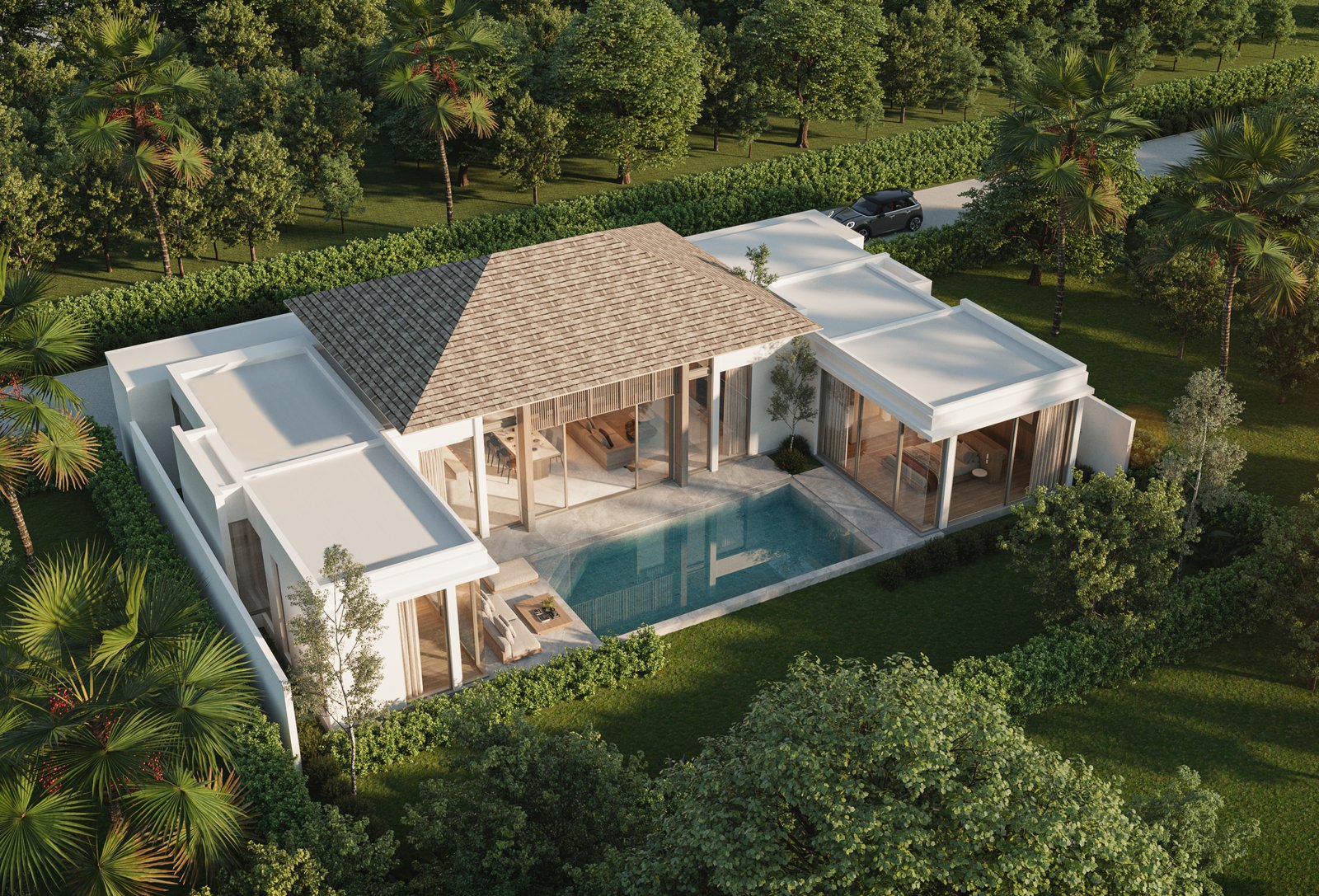 2.0Top View – Monstera