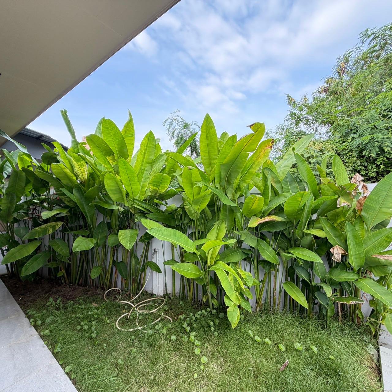 3 Urgent Sale — Private Pool Villa in Chalong | 6.79M THB