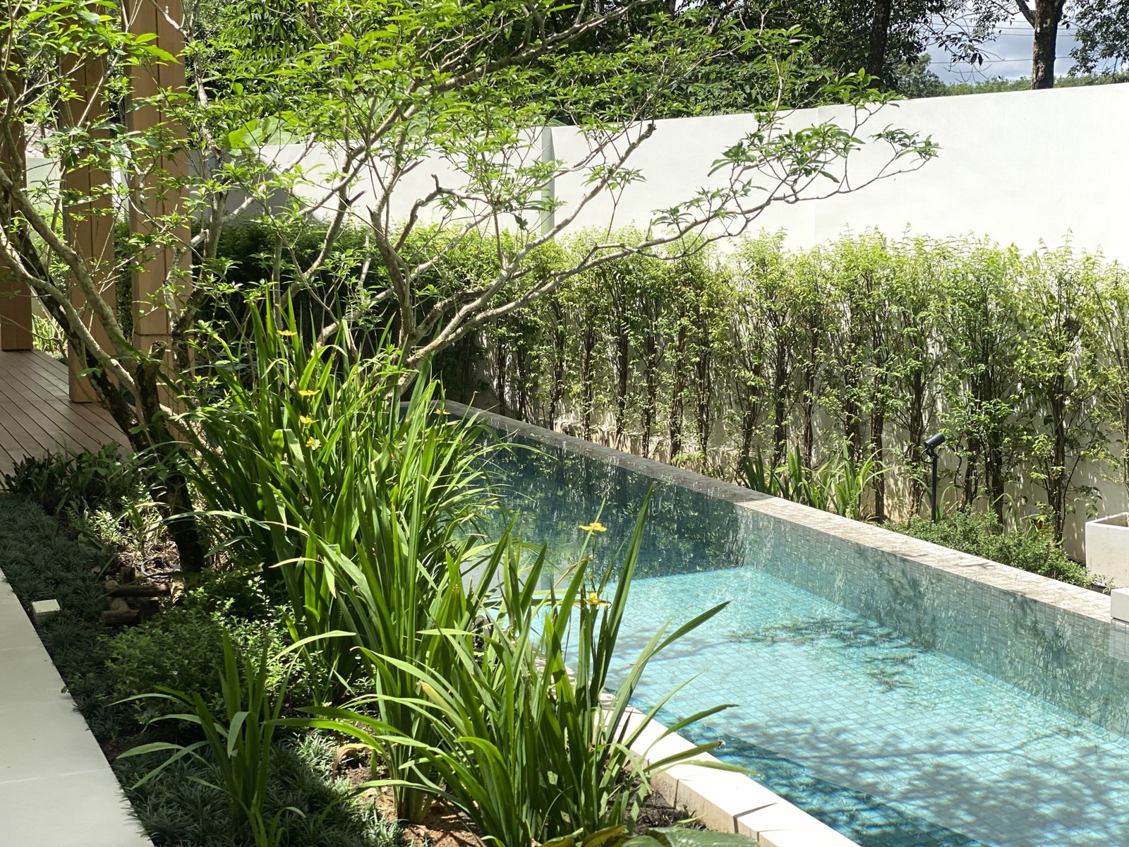 THE BAYA — An Exclusive Collection of 3 Architectural Villas in Si Sunthon, Phuket